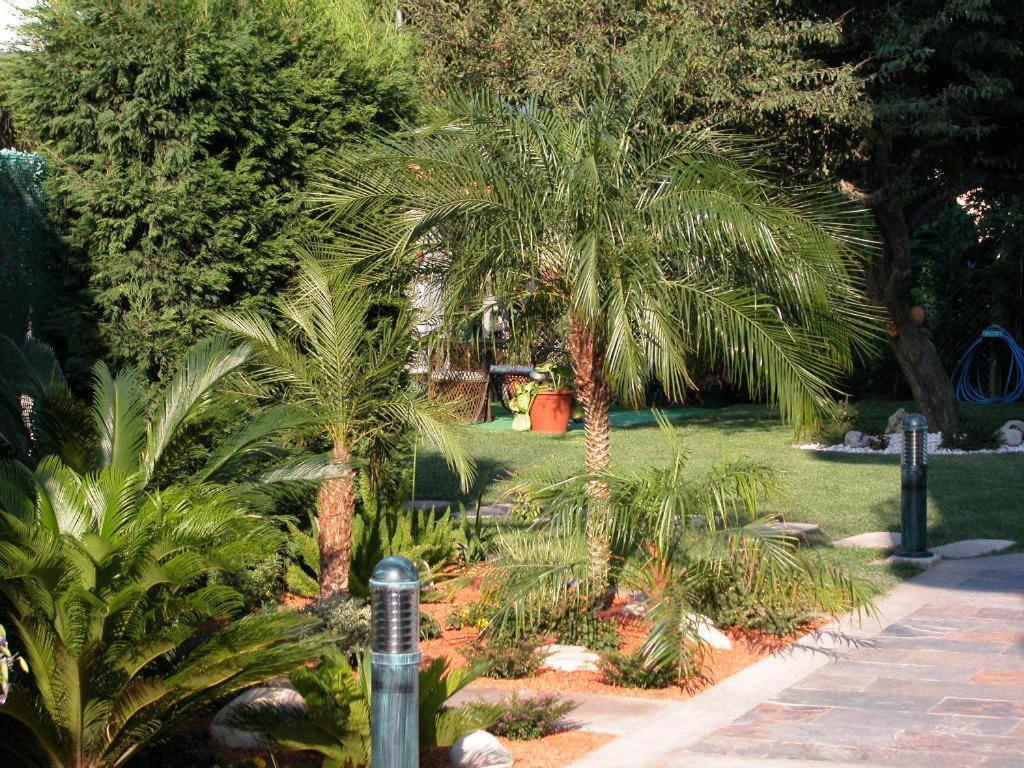 Hotel Pineiro 2 Estrellas Superior Playa de la Lanzada Εξωτερικό φωτογραφία
